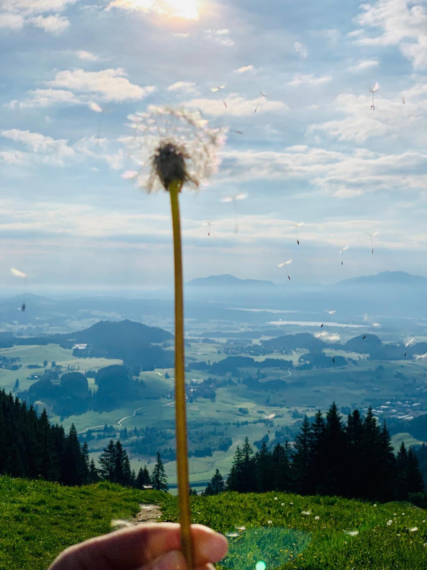 Ferienhaus Sommer Pfronten Buitenkant foto