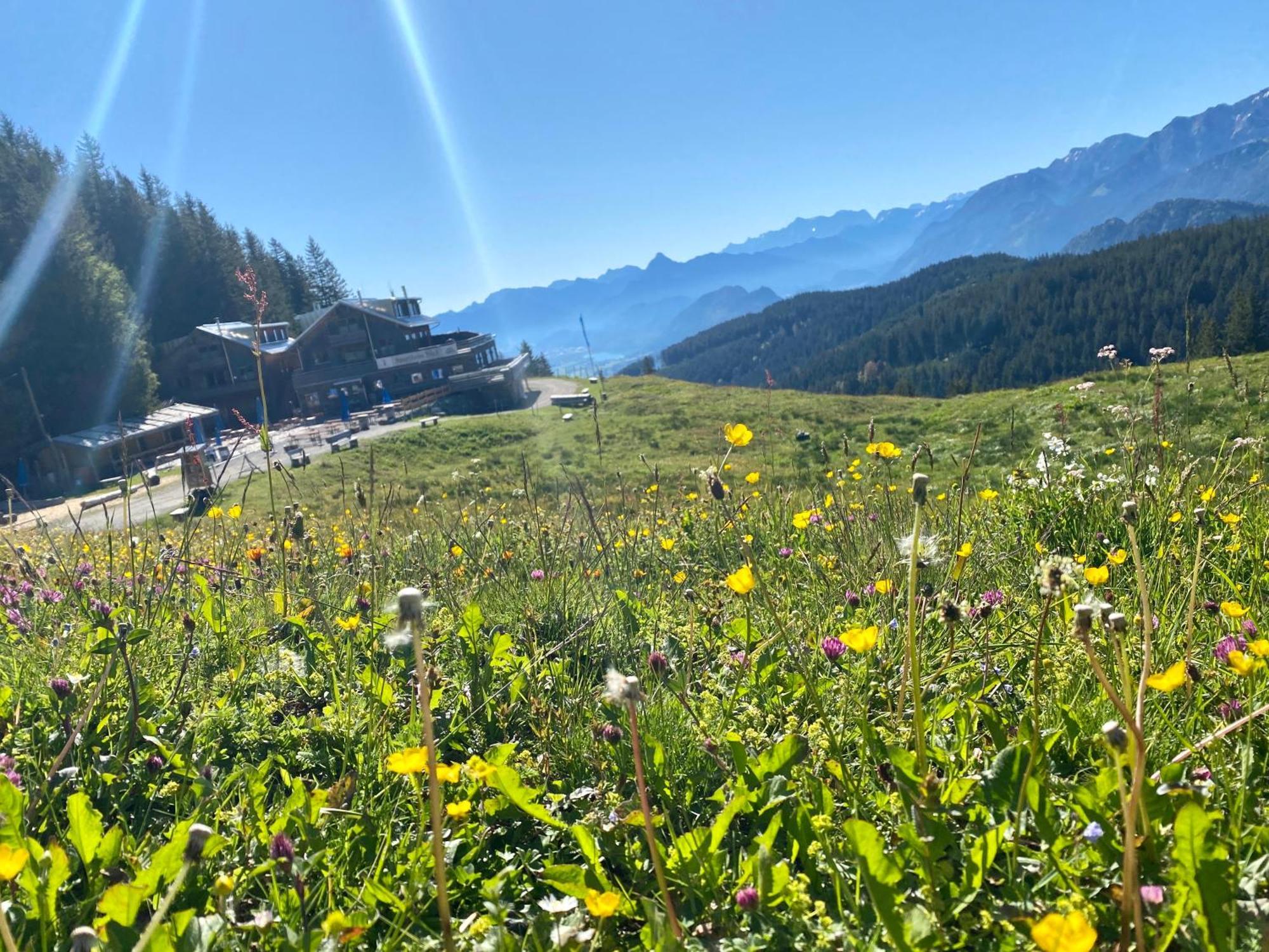 Ferienhaus Sommer Pfronten Buitenkant foto